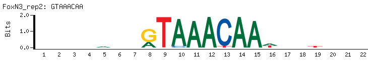 GTAAACAA