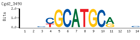 CGCATGCA