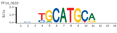 TGCATGCA