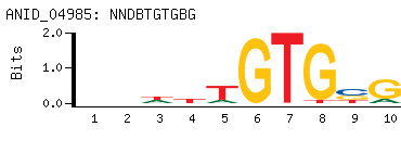 NNDBTGTGBG
