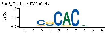 NNCSCACNNN