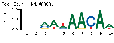 NNMWWAACAW