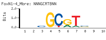 NNNGCRTBNN