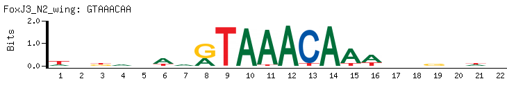 GTAAACAA