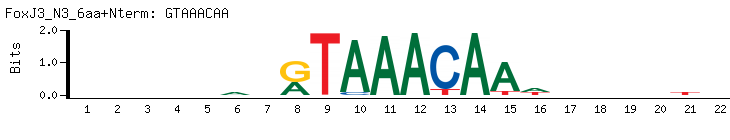 GTAAACAA