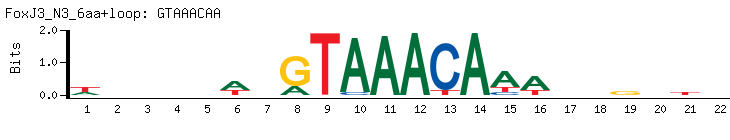 GTAAACAA