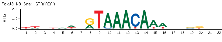 GTAAACAA
