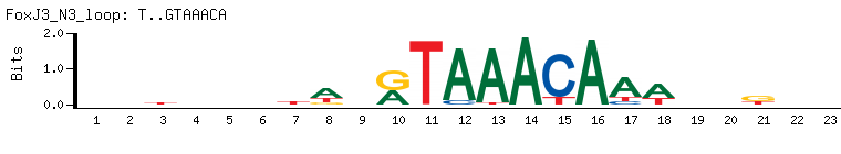 T..GTAAACA
