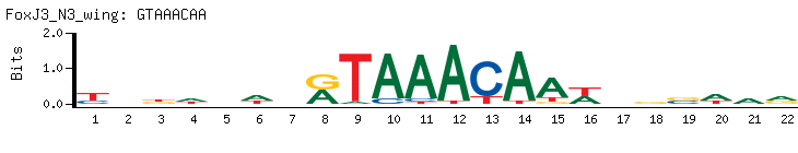 GTAAACAA
