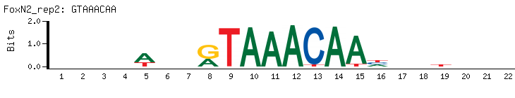 GTAAACAA