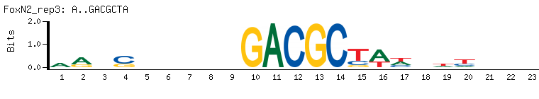 A..GACGCTA