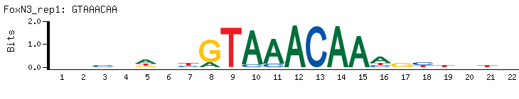 GTAAACAA