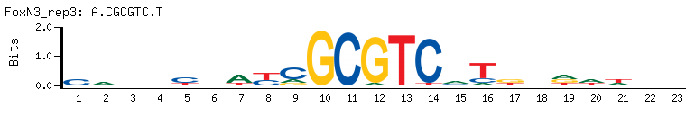 A.CGCGTC.T