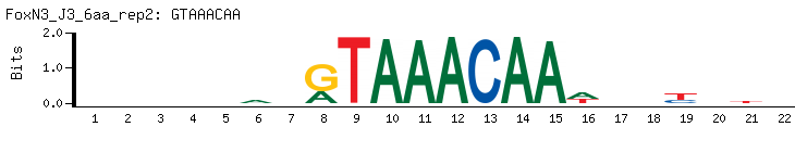 GTAAACAA