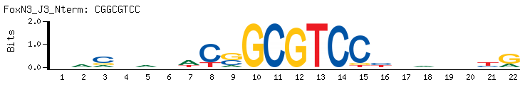 CGGCGTCC