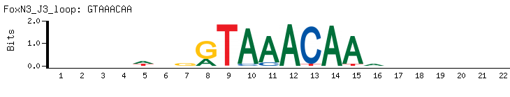 GTAAACAA