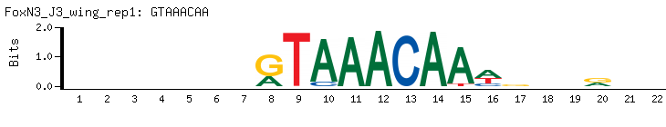 GTAAACAA