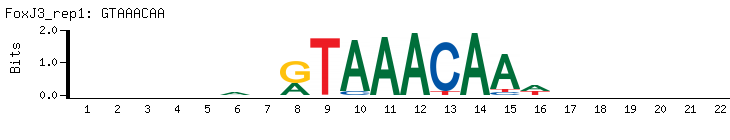GTAAACAA