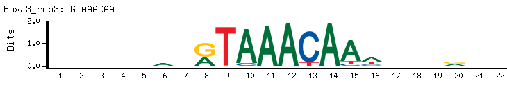 GTAAACAA